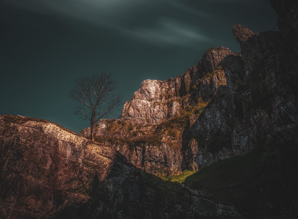 Lone tree standing at the edge of Cheddar Gorge