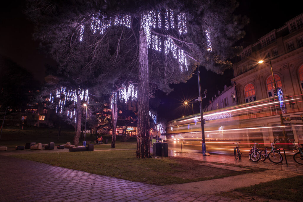 Bus trail at street with festive lights in trees at night