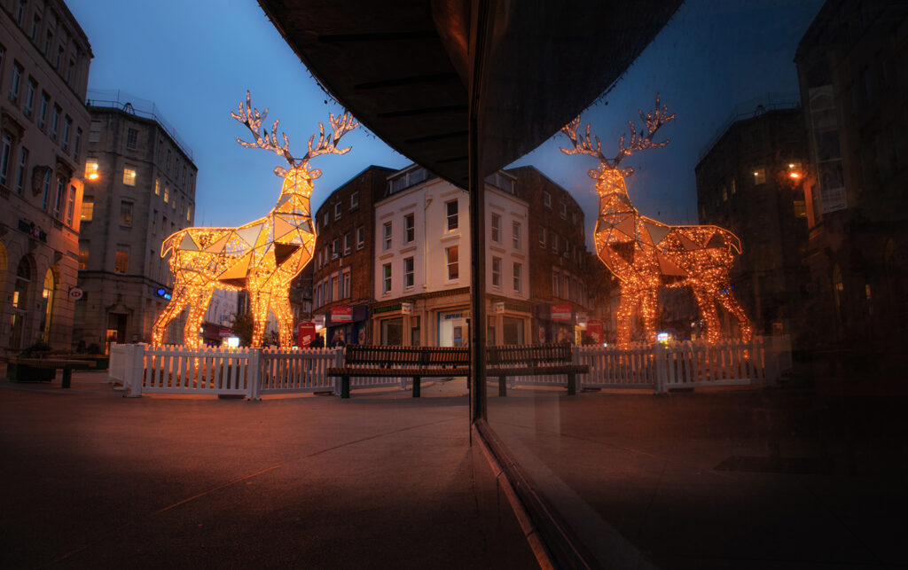 A large gold reindeer reflecting in a shop window